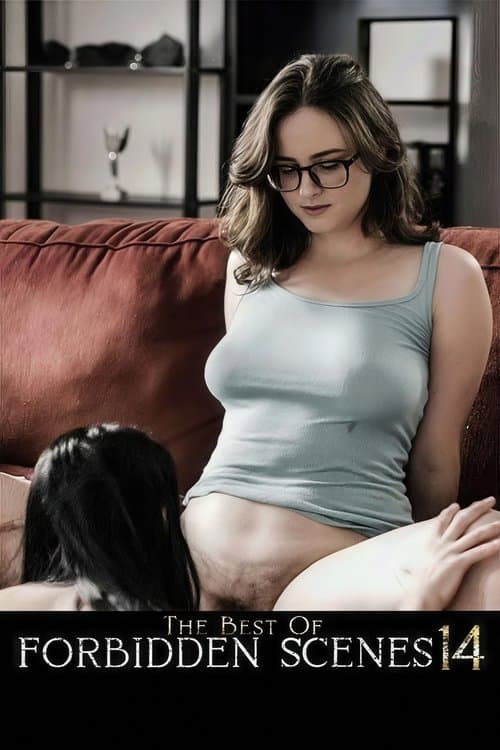 The Best of Forbidden Scenes 14 poster