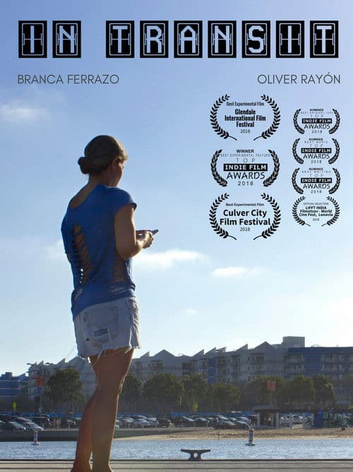 In Transit poster