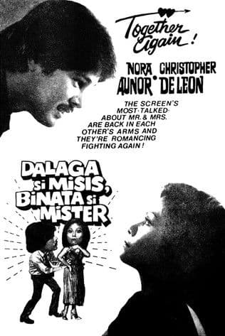 Dalaga si Misis, Binata si Mister poster
