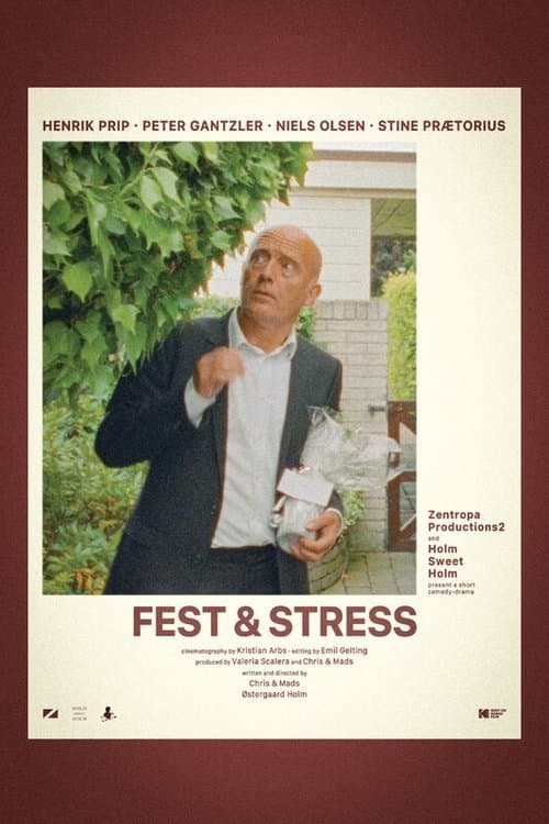 Fest & Stress poster