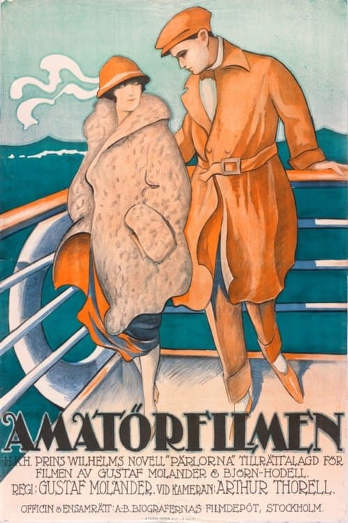 Amatörfilmen poster