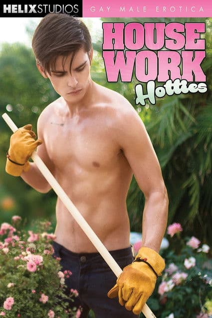 Housework Hotties poster