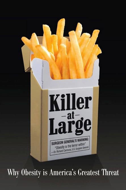 Killer at Large poster