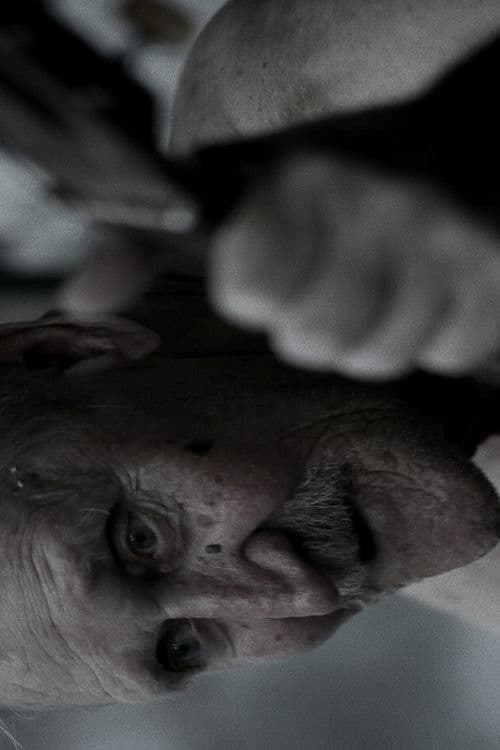 Black District Blues poster