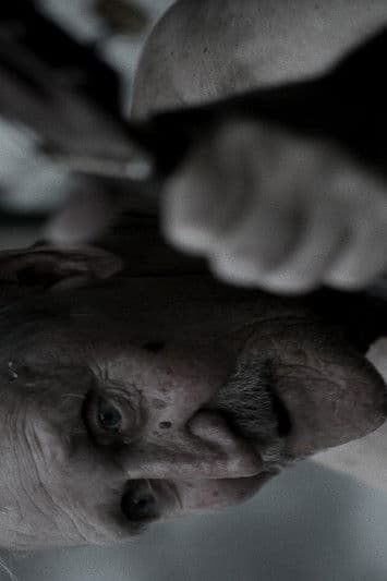 Black District Blues poster