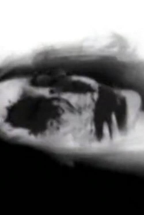 Cinderella Valentine profile photo