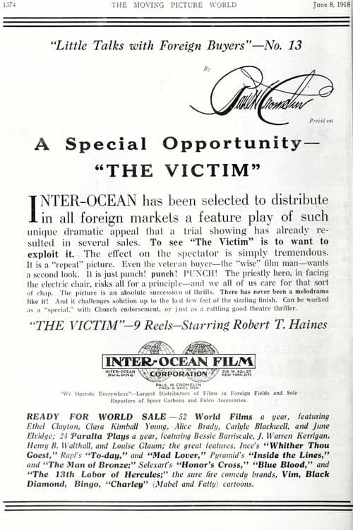 The Victim poster