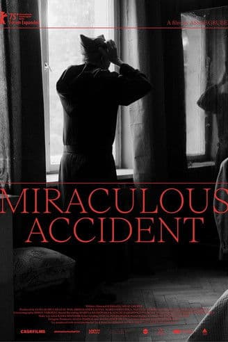 Miraculous Accident poster