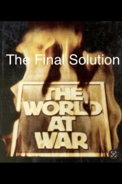 The Final Solution poster
