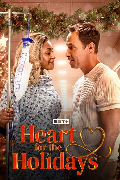 Heart for the Holidays poster