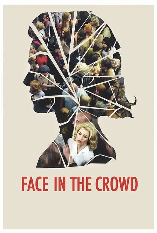 Face in the Crowd poster
