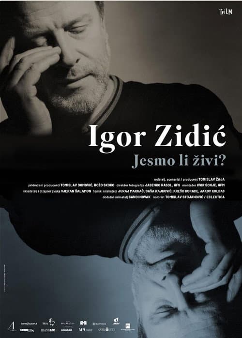 Igor Zidić: Are We Alive? poster