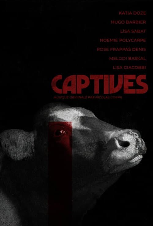 Captives poster