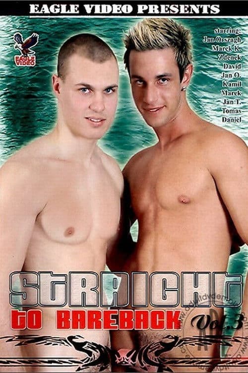 Straight to Bareback 3 poster