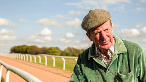 Searching for Shergar poster