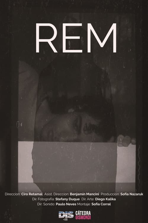REM poster