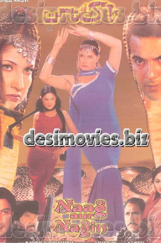 Naag or Nagin poster