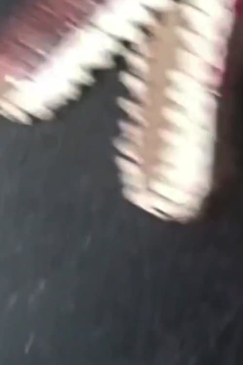 Dinosaur Farm poster