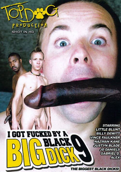 I Got Fucked by a Big Black Dick 9 poster