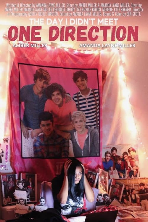 The Day I Didn't Meet One Direction poster
