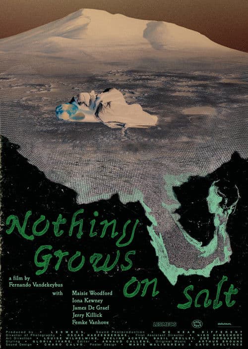 Nothing Grows on Salt poster