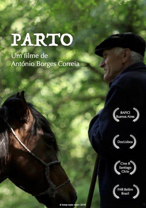 Parto poster