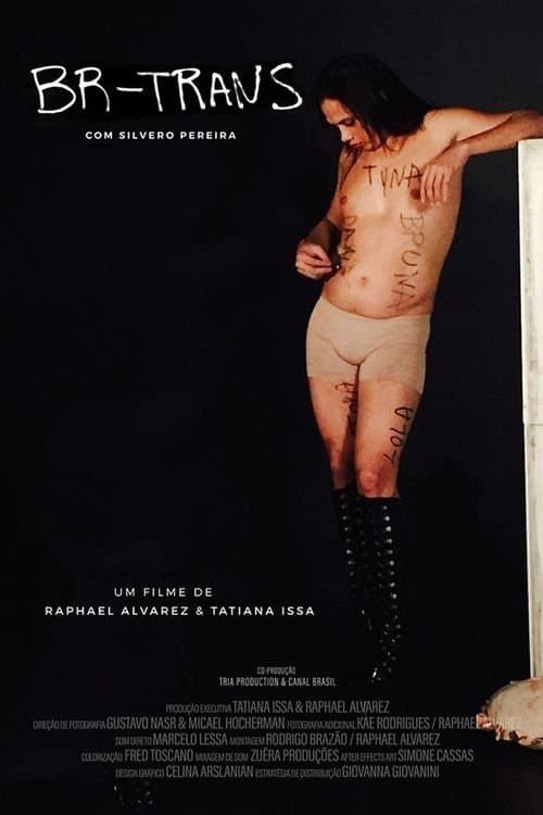 BR Trans poster