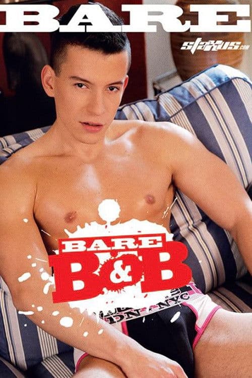 Bare B&B poster