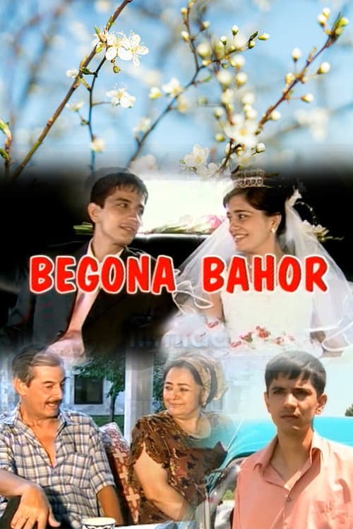 Foreign Spring poster