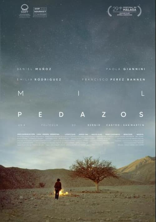 Mil pedazos poster