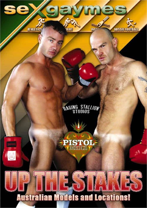 Sexgaymes: Up the Stakes poster