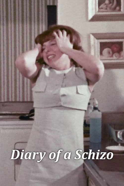 Diary of a Schizo poster