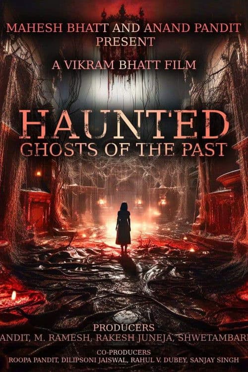 Haunted 3D: Ghosts of the Past poster