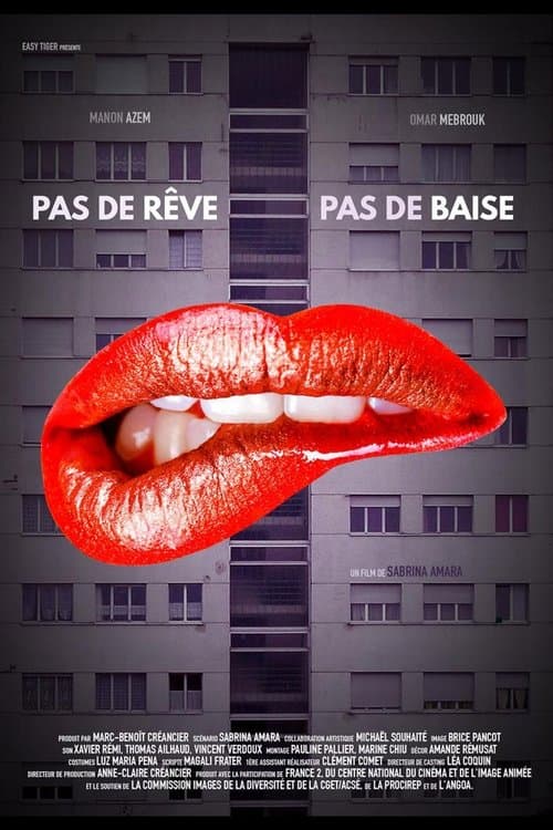 Pas de rêve pas de baise poster