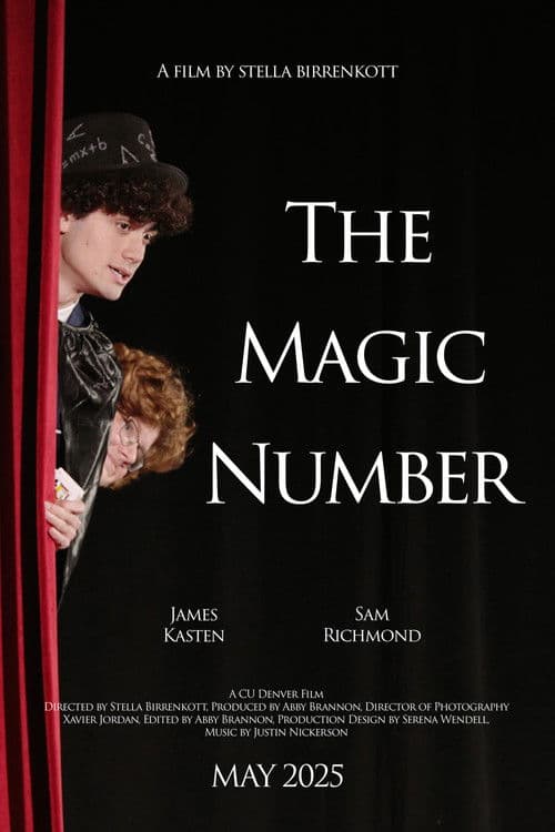 The Magic Number poster