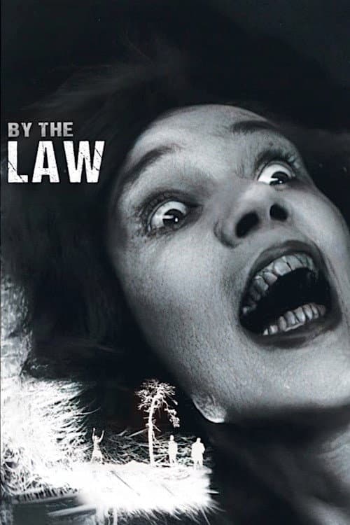 By the Law poster