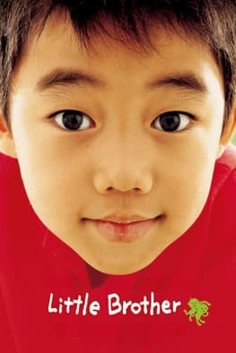 Little Brother poster
