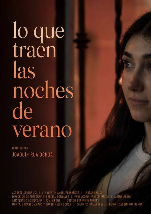 Lo que traen las noches de verano poster