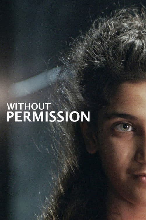 Without Permission poster