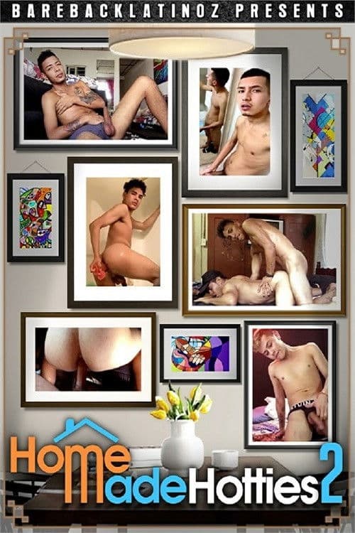 Homemade Hotties 2 poster