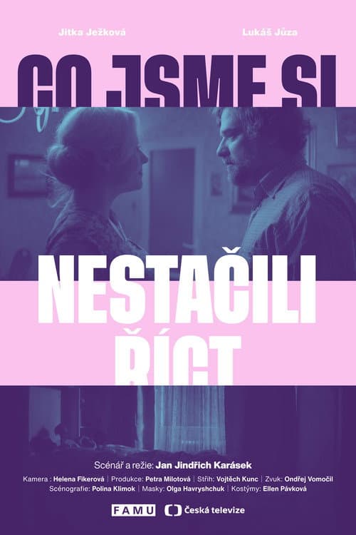 Co jsme si nestačili říct poster