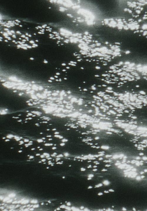 Kristallnacht poster