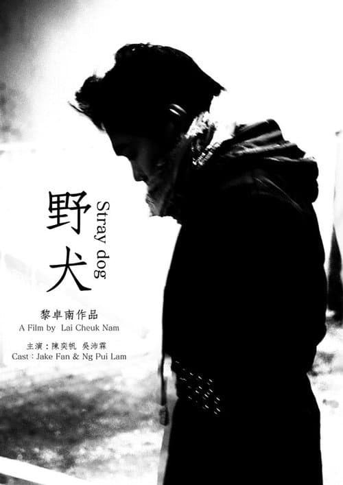 Stray dog poster