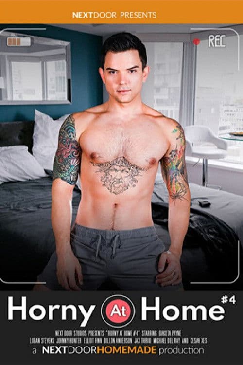Horny at Home 4 poster