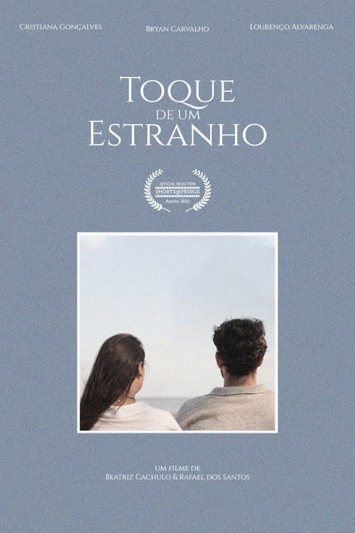 A Stranger's Touch poster