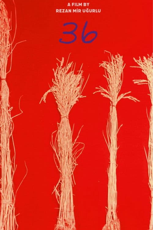 36 poster