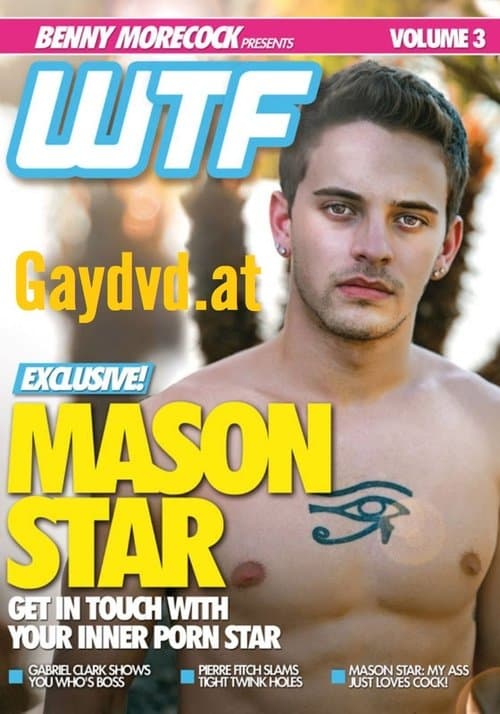 WTF 3: Mason Star poster