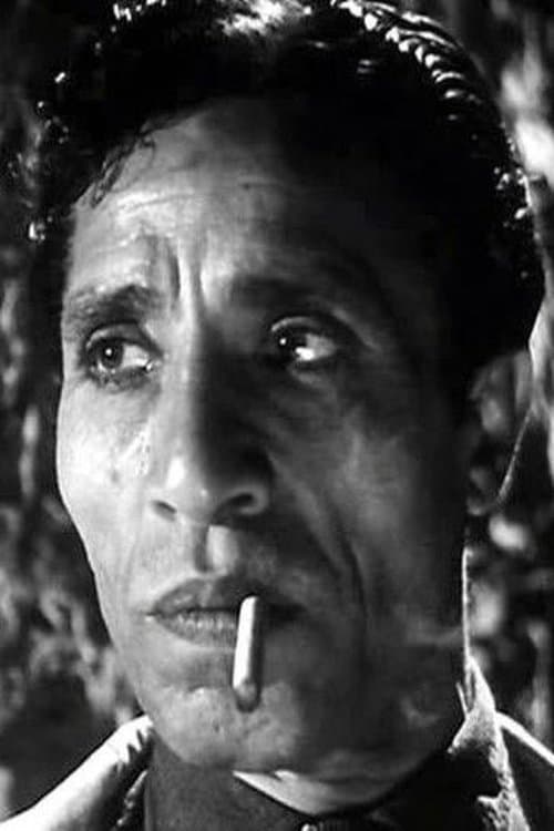 Mohamed Sobeih profile photo