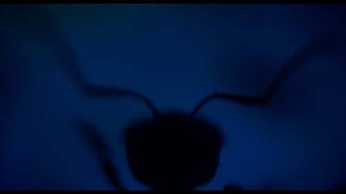 Antface poster