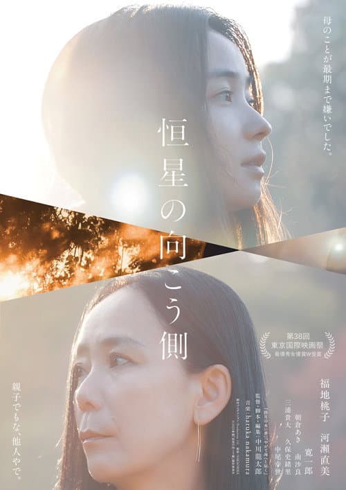 Echoes of Motherhood poster